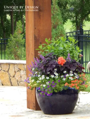 Container Garden Design - Unique by Design l Helen Weis — Landscape Design project by Unique By Design