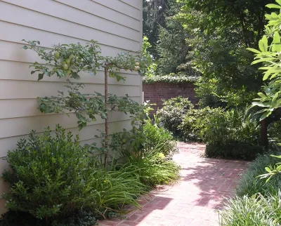 United Landscape SVC - Landscape Design in Lexington, KY