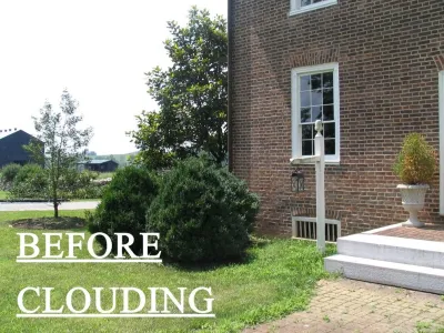 Trimming & Pruning by United Landscape SVC