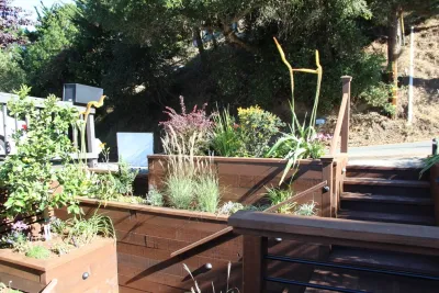 Urban Botanics - Patio Design & Installation in San Leandro, CA