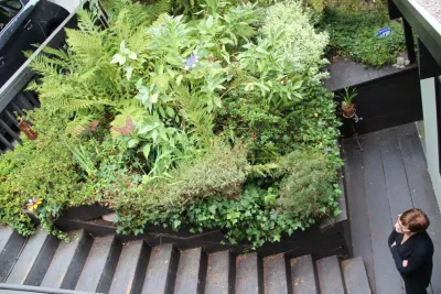Aitken Street — Landscape Design project by Urban Botanics in Oakland