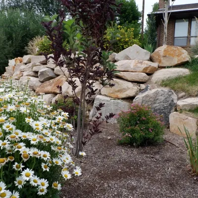 Berg Landscape Architects, Inc. - Drought-Resistant Lawn Installation in Midway, UT