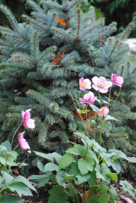 Urban Farms Landscape & Design - Garden Remodeling in Franklin Lakes, NJ