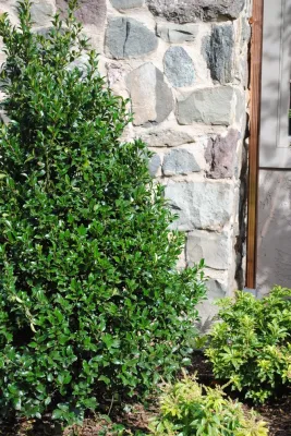 Urban Farms Landscape & Design - Garden Remodeling in Franklin Lakes, NJ