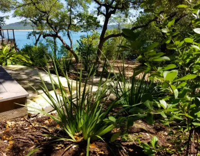 Urban Landforms, Landscape Architecture Studio - Garden Remodeling in Georgetown, TX
