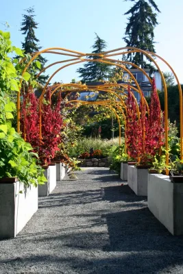 Berger Partnership - Garden Remodeling in Seattle, WA