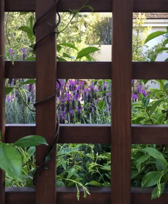 Urban Oasis Landscape Design - Landscape Design in Los Angeles, CA