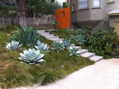 Urban Organics Design, Inc. - Landscape Design in San Pedro, CA