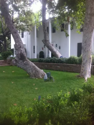 Urban Organics Design, Inc. - Landscape Design in San Pedro, CA