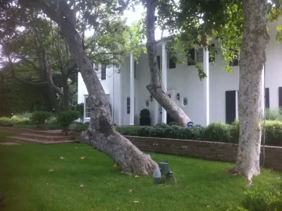 Urban Organics Design, Inc. - Landscape Design in San Pedro, CA
