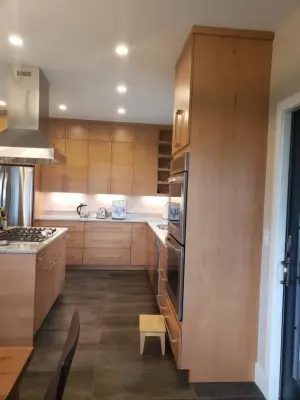 Contemporary Kitchen Renovation — Kitchen Remodeling project by Taylor And Stevens Cabinetry