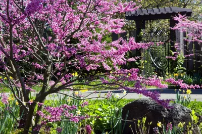 Van Zelst Inc - Landscape Maintenance in Wadsworth, IL