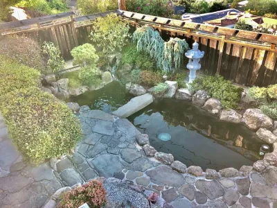 Calm and Koi LLC - Deck Building & Repair in Sebastopol, CA