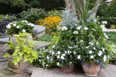 Van Zelst Inc - Landscape Maintenance in Wadsworth, IL