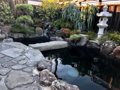 Calm and Koi LLC - Deck Building & Repair in Sebastopol, CA