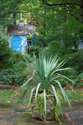 Containers, DC Metro Area — Landscape Design project by Bethesda Garden Design Llc in Bethesda
