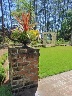 Verdant Enterprises - Drought-Resistant Lawn Installation in Savannah, GA