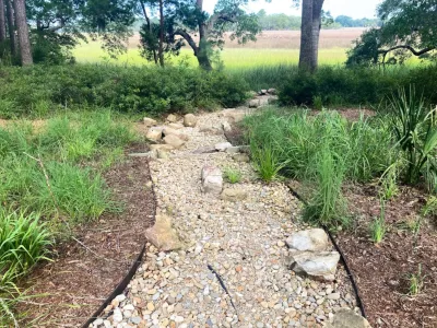 Verdant Enterprises - Drought-Resistant Lawn Installation in Savannah, GA