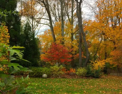 Favorite Plant Palette — Landscape Design project by Bethesda Garden Design Llc in Bethesda