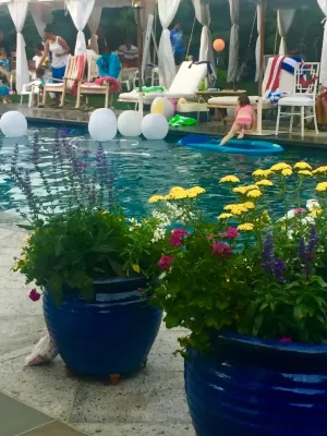 Entertaining in the Backyard — Landscape Design project by Bethesda Garden Design Llc in Bethesda