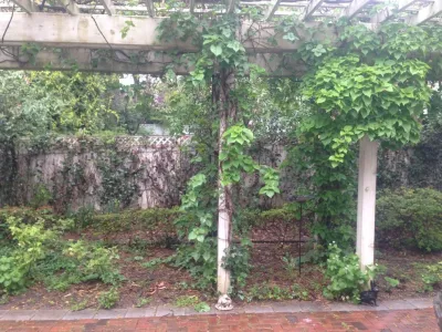 Charleston Inspired Garden, Chevy Chase — Landscape Design project by Bethesda Garden Design Llc