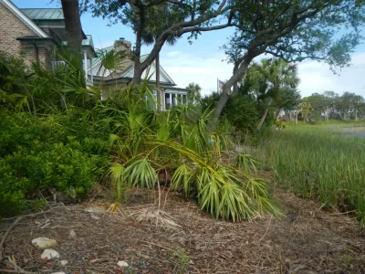 Verdant Enterprises - Drought-Resistant Lawn Installation in Savannah, GA