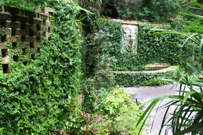 Verdant Enterprises - Drought-Resistant Lawn Installation in Savannah, GA