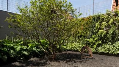 Verde Vertical Inc - Garden Remodeling in Miami, FL