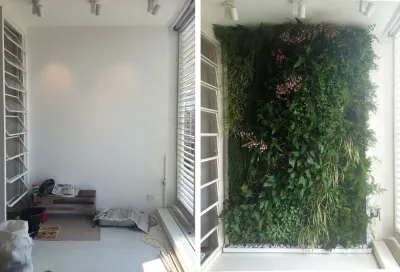 Verde Vertical Inc - Garden Remodeling in Miami, FL