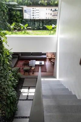 Verde Vertical Inc - Garden Remodeling in Miami, FL