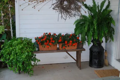 Bethesda Garden Design llc - Garden Remodeling in Bethesda, MD
