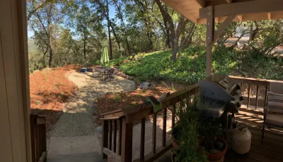 Verne Pershing, The Art of Gardening - Drought-Resistant Lawn Installation in Placerville, CA
