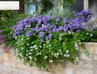 Vernon's LandEscapes, Inc. - Retaining Wall Construction in Austin, TX