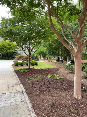 Via Flora Landscapes - Garden Remodeling in Chapel Hill, NC