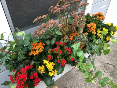 Via Flora Landscapes - Garden Remodeling in Chapel Hill, NC