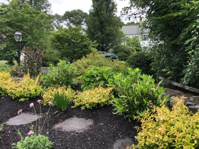 Via Flora Landscapes - Garden Remodeling in Chapel Hill, NC