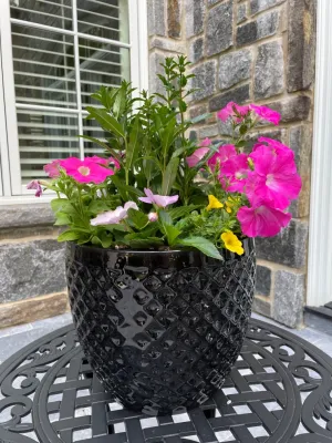 Via Flora Landscapes - Garden Remodeling in Chapel Hill, NC