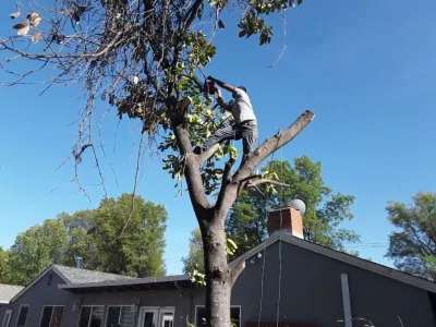 Campos Landscaping & Maintenance - Landscape Construction in Antioch, CA