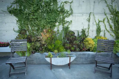 Viola Gardens - Landscape Design in Los Angeles, CA