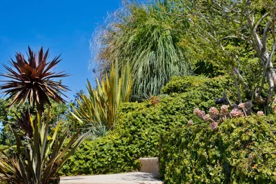 Viola Gardens - Landscape Design in Los Angeles, CA