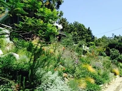 Viola Gardens - Landscape Design in Los Angeles, CA