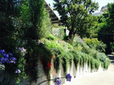 Viola Gardens - Landscape Design in Los Angeles, CA