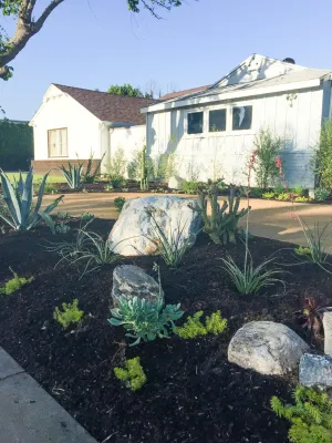 From Lawn to Garden — Landscape Design project by Viola Gardens