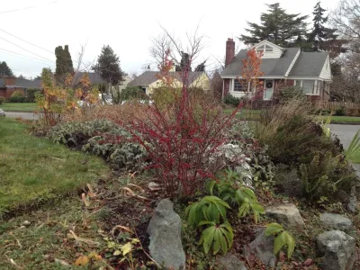 Seattle Rain Gardens by Vireo Design Studio, LLC