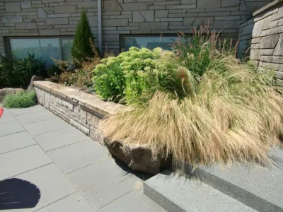 Vireo Design Studio, LLC - Garden Remodeling in Seattle, WA