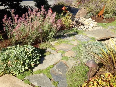 Vision Garden Design - Garden Remodeling in Aptos, CA