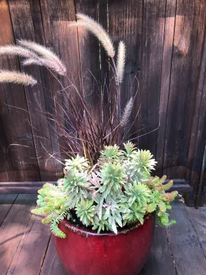 Vision Garden Design - Garden Remodeling in Aptos, CA