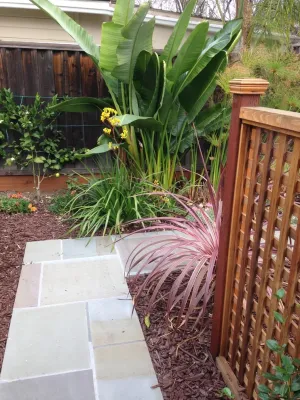 Vision Garden Design - Garden Remodeling in Aptos, CA