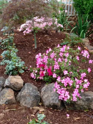 Vision Garden Design - Garden Remodeling in Aptos, CA