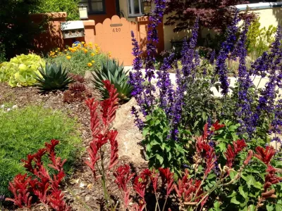 Vision Garden Design - Garden Remodeling in Aptos, CA
